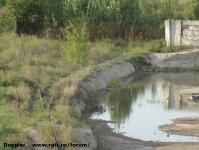 Imagine atasata: Dermatina - 2014.09.19 - 06.jpg